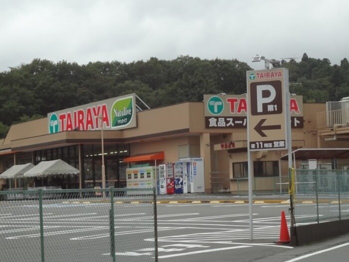 TAIRAYA元八王子店(スーパー)まで500m 山根ｱﾊﾟｰﾄ