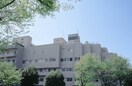 横浜新緑総合病院(病院)まで2100m メゾン・ド・ベル青葉台Ⅱ