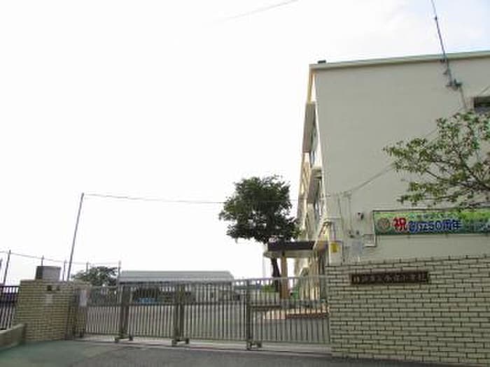 横浜市立今宿小学校(小学校)まで350m モア　グランディール・エヌ