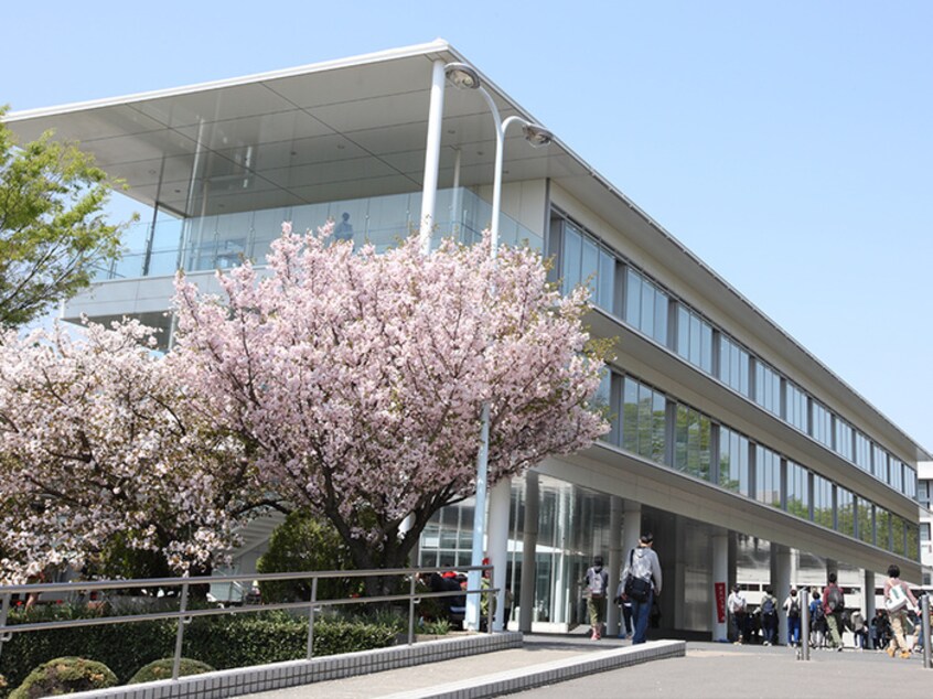 芝浦工業大学(大学/短大/専門学校)まで300m メゾン悠