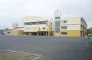 八王子市立第七小学校(小学校)まで335m 安藤ビル