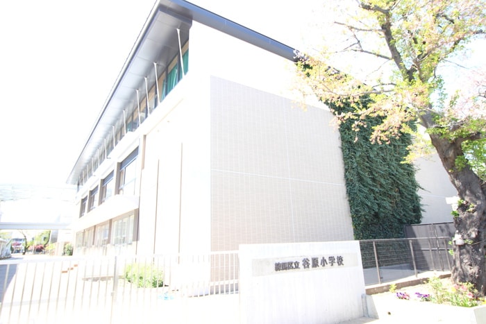 谷原小学校(小学校)まで847m ハイツサンシャイン