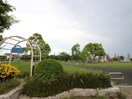篠崎公園(公園)まで547m タナベ　コ－ポ