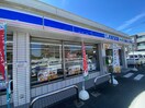 ローソン(コンビニ)まで642m コモンウェルス