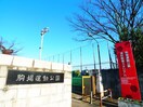 駒場運動公園(公園)まで100m Ｒｅｄ　Ｗｉｎｇ