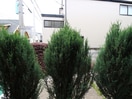 室内からの展望 Ｐｅｔｉｔ　Ｓｏｌｅｉｌ