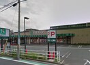 京急ストア磯子丸山店(スーパー)まで681m 中村町飯塚ビル