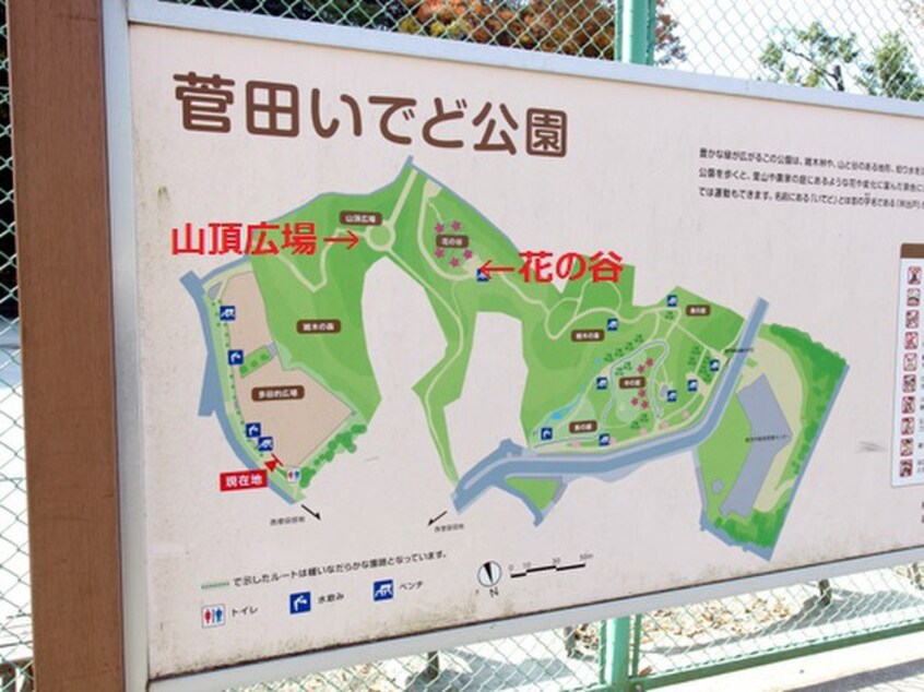 菅田いでど公園(公園)まで300m コンフォート中田