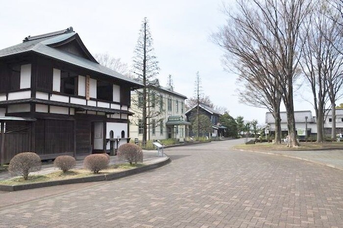 郷土の森博物館(美術館/博物館)まで650m 清水コ－ポ