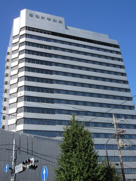 昭和大学病院(病院)まで261m 旗ヶ岡アパートメント