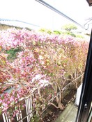 室内からの展望 アネックスヒダカ