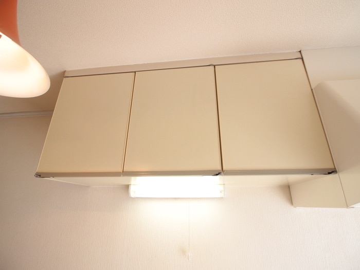 収納 ピアイズミ