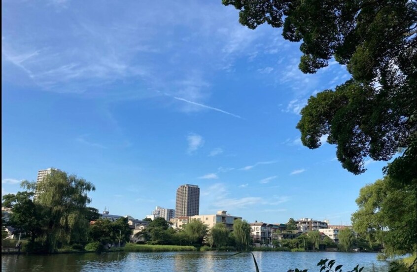石神井公園(公園)まで450m ゲインB