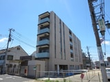 Amber Court