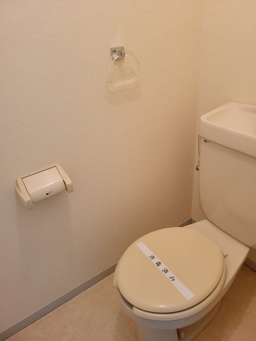 トイレ セジュールツインⅡ