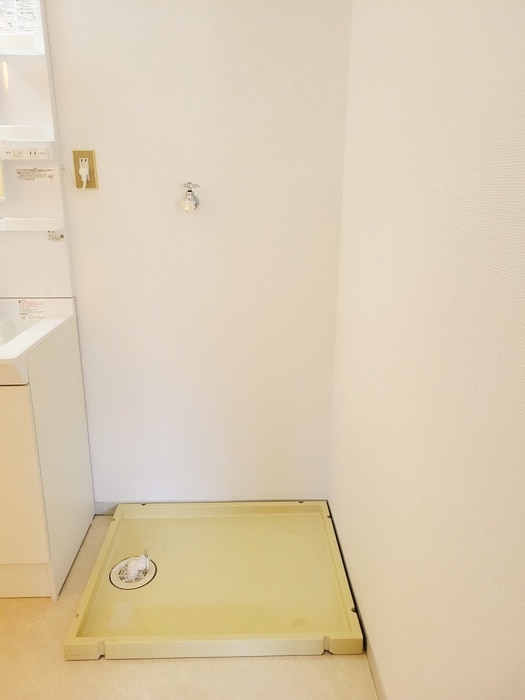 洗濯機置場 セジュールツインⅡ