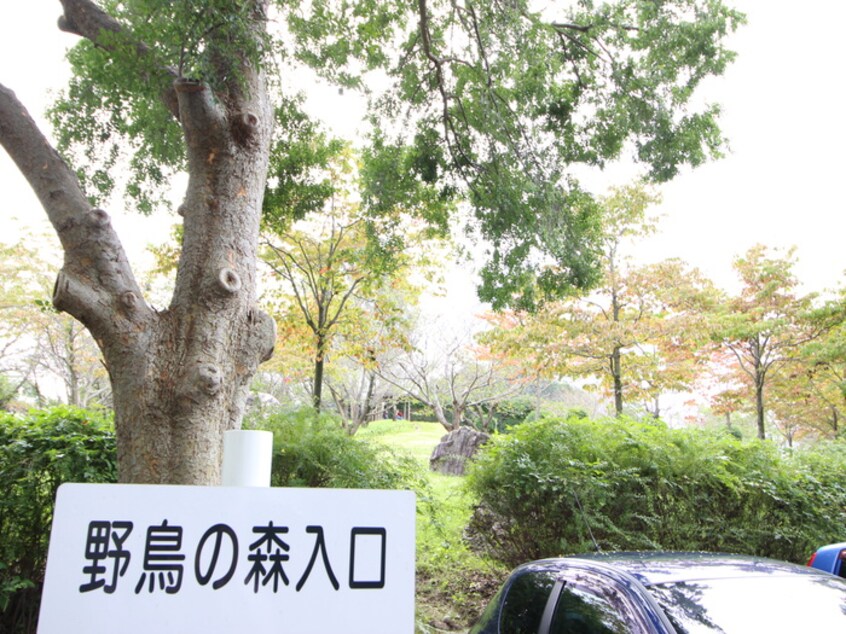 キャンベルタウン野鳥の森(公園)まで700m アネックス加藤