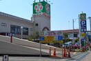 ライフ(スーパー)まで750m 古谷ハイツ