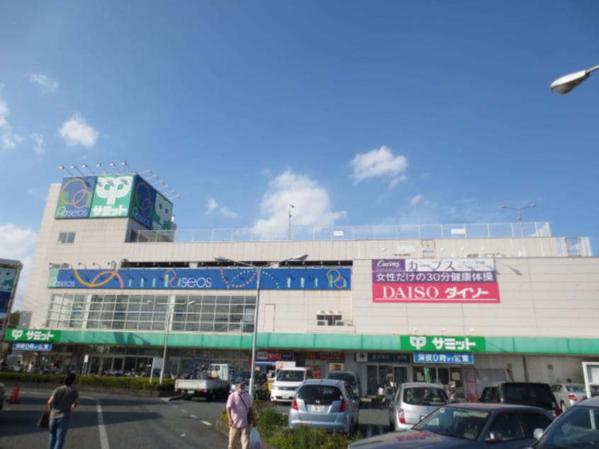 サミット(スーパー)まで223m サングリ－ン南