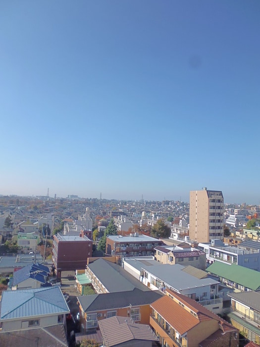 周辺環境 FUTIVAL上石神井駅前通り（301）