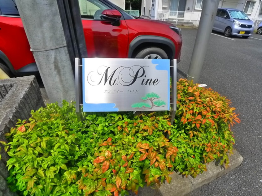 その他 エムティーパイン