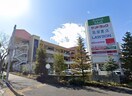 サンドラッグ南大沢店(ドラッグストア)まで353m ラフィーネ学生マンション