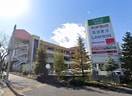 サンドラッグ南大沢店(ドラッグストア)まで353m ラフィーネ学生マンション