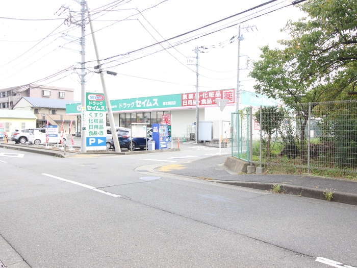 セイムス(ドラッグストア)まで233m フローラⅡ