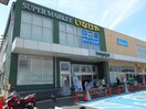 いなげや府中浅間町店(スーパー)まで500m 浅間ハイツ