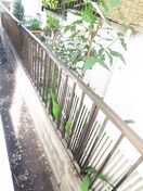 室内からの展望 アペックス北里