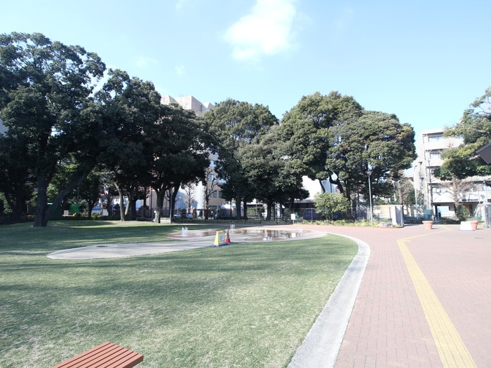 目白台運動公園(公園)まで53m パ－ク目白台