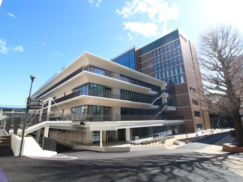 駒澤大学(大学/短大/専門学校)まで130m 駒沢フォレスト