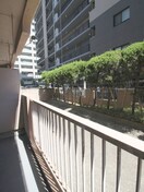 ベランダ・バルコニー パークハイツ綾瀬