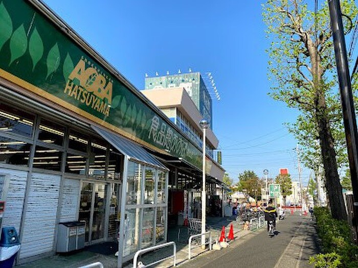 食品館あおば 初山店(スーパー)まで1270m ヴェルデ