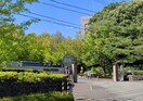 松蔭大学 森の里キャンパス(大学/短大/専門学校)まで1261m フィフティベルB