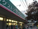 セイムス(ドラッグストア)まで80m ビュ－フレア片町