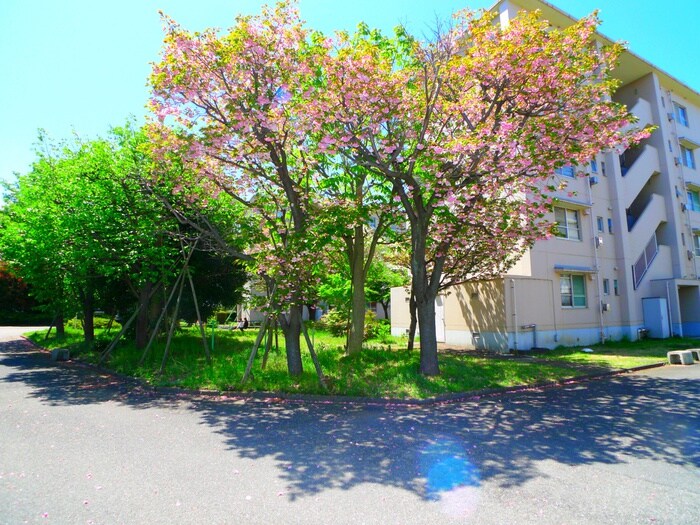 周辺環境 ビレッジハウス上尾向原2号棟