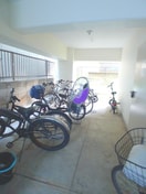 駐輪場 フォルム３３