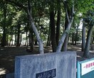 林間公園(公園)まで1000m ムネタケマンシヨン
