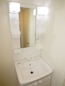 洗面 ピア桜上水