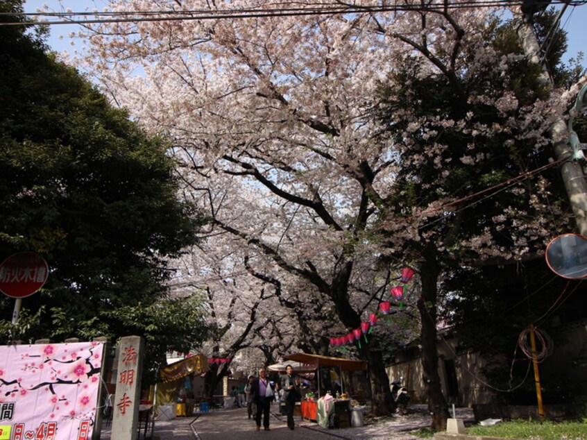 法明寺(公園)まで406m グリ－ンヴァリィ川上