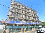 Nasic柏