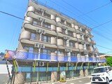 Nasic柏