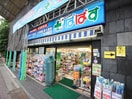 どらっぐぱぱす小石川１丁目店(ドラッグストア)まで608m サンフラワ－ハウス