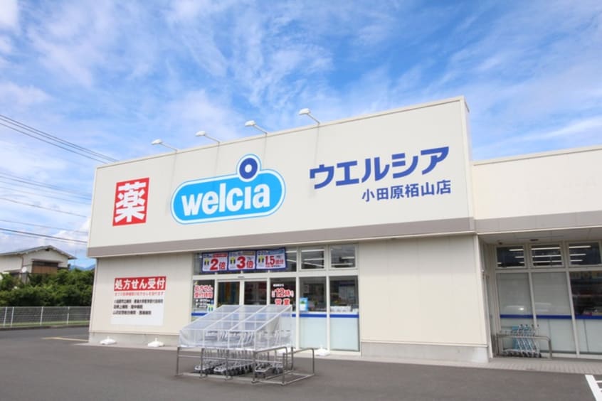 ウエルシア小田原栢山店(ドラッグストア)まで123m ＭＧＭ　ＢＬＤＧ．Ⅱ