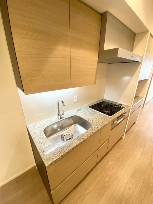 キッチン ザ・パークハビオ文京江戸川橋