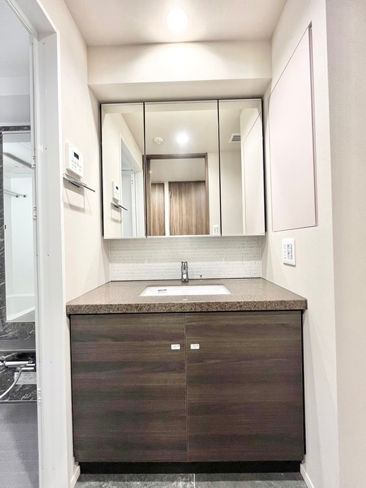 洗面 ザ・パークハビオ文京江戸川橋