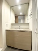 洗面 ザ・パークハビオ文京江戸川橋