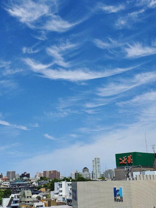 室内からの展望 ザ・パークハビオ文京江戸川橋