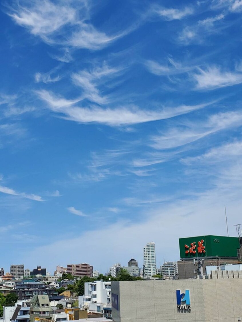 室内からの展望 ザ・パークハビオ文京江戸川橋